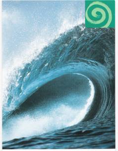 welle
